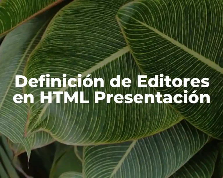 Definición de Editores en HTML Presentación