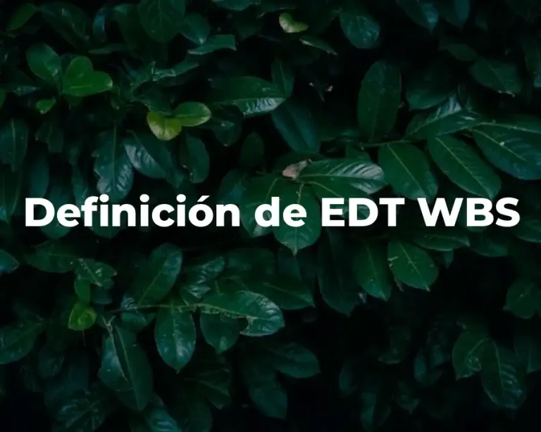 Definición de EDT WBS