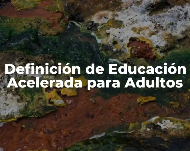 Definición de Educación Acelerada para Adultos