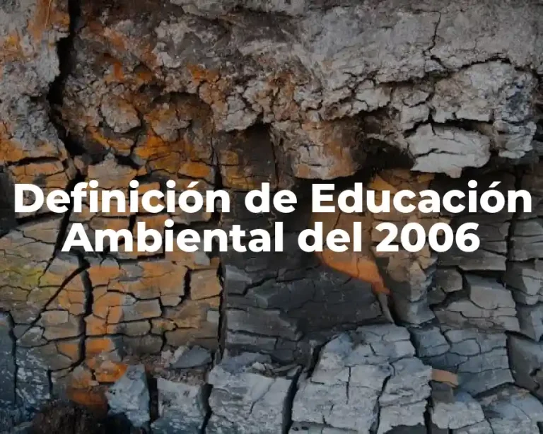 Definición de Educación Ambiental del 2006