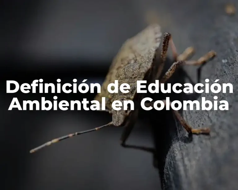 Definición de Educación Ambiental en Colombia