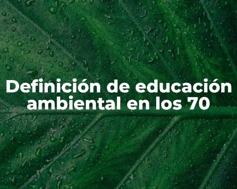 Definición de educación ambiental en los 70