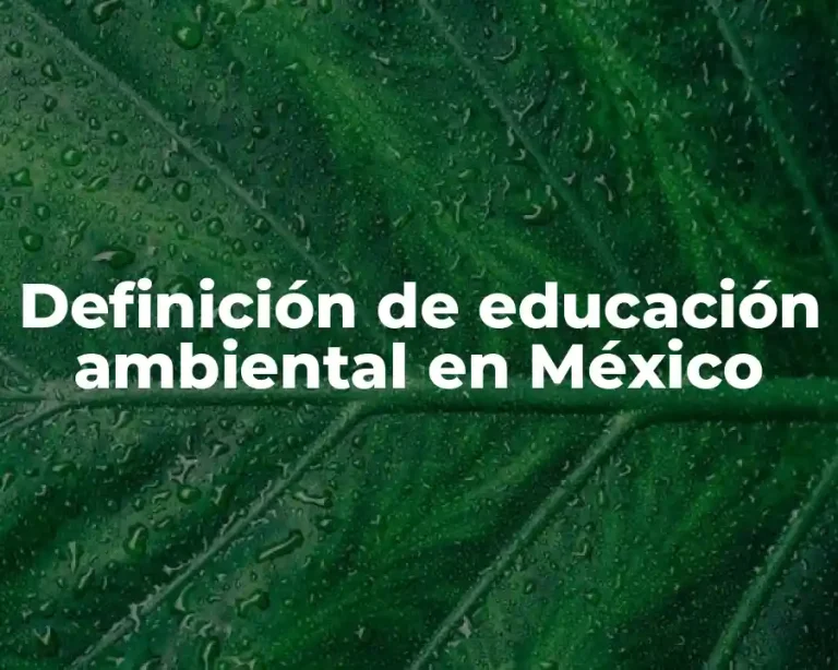 Definición de educación ambiental en México