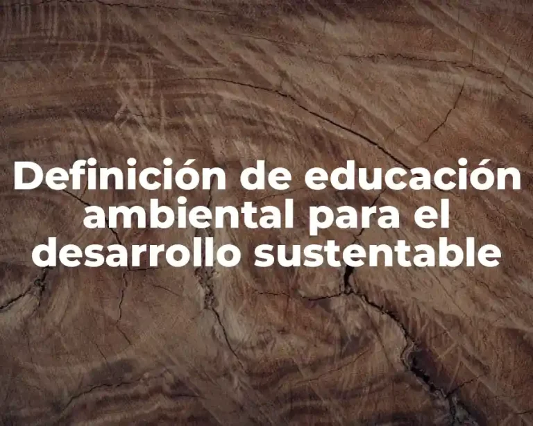 Definición de educación ambiental para el desarrollo sustentable