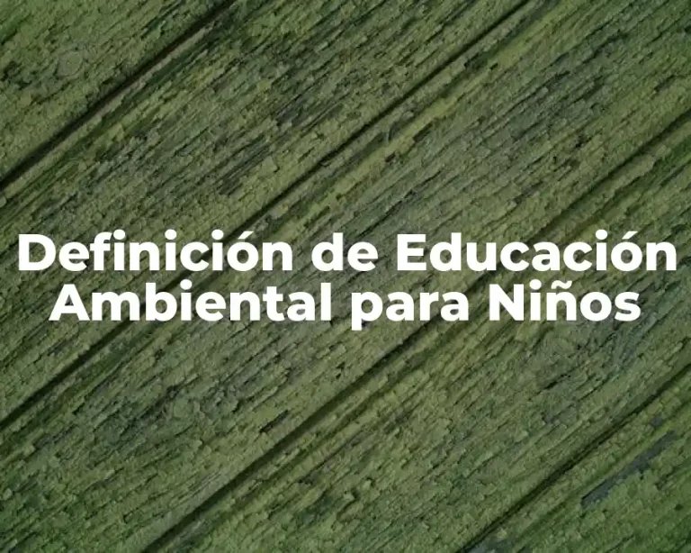 Definición de Educación Ambiental para Niños