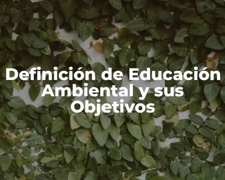 Definición de Educación Ambiental y sus Objetivos