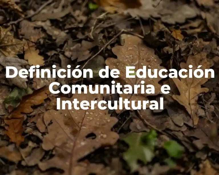 Definición de Educación Comunitaria e Intercultural
