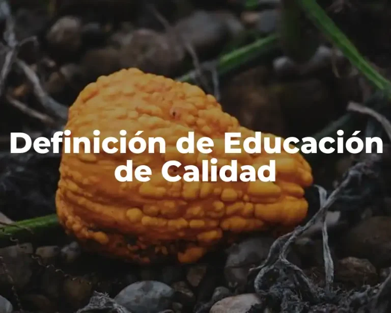 Definición de Educación de Calidad