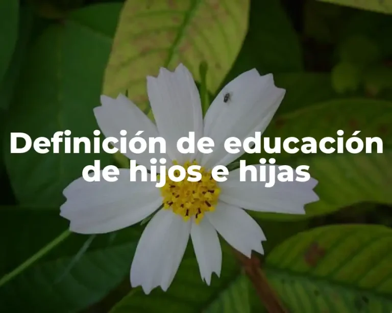 Definición de educación de hijos e hijas