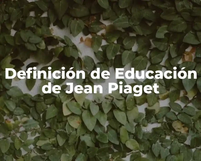 Definición de Educación de Jean Piaget