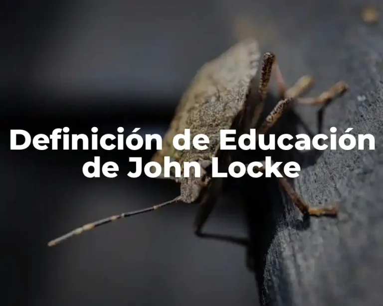 Definición de Educación de John Locke