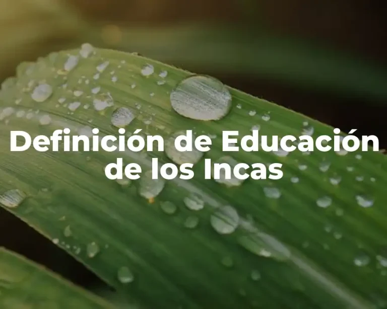 Definición de Educación de los Incas