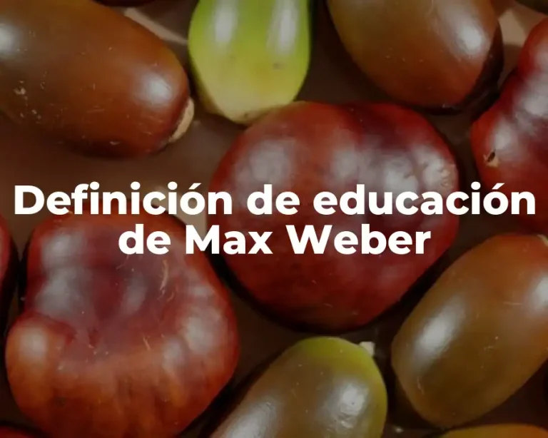 Definición de educación de Max Weber
