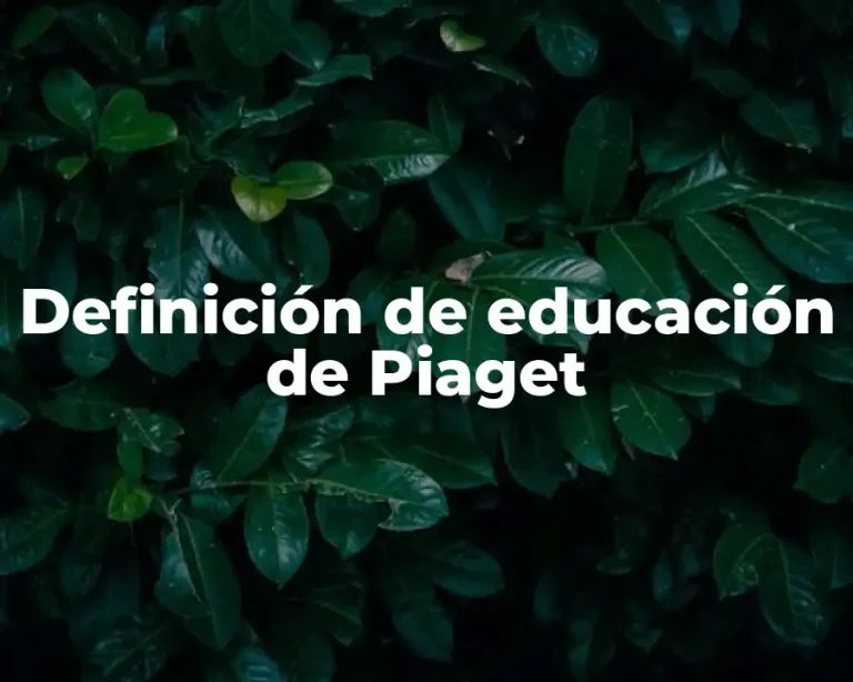 Definición de educación de Piaget