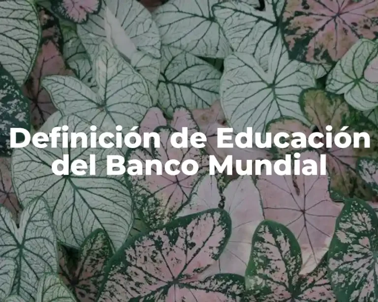 Definición de Educación del Banco Mundial