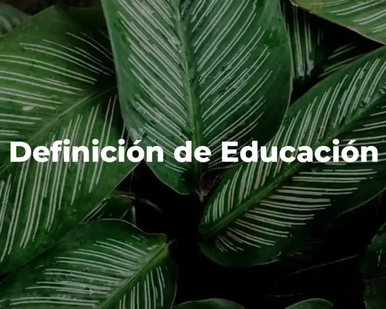 Definición de Educación