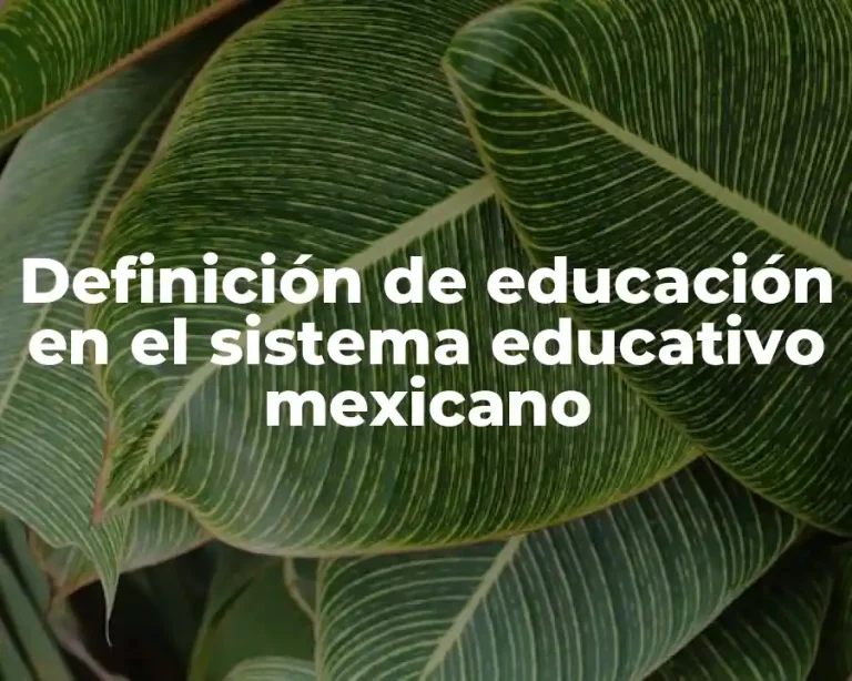 Definición de educación en el sistema educativo mexicano