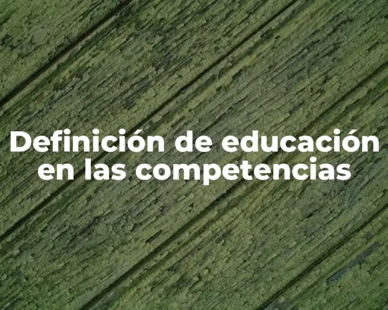 Definición de educación en las competencias