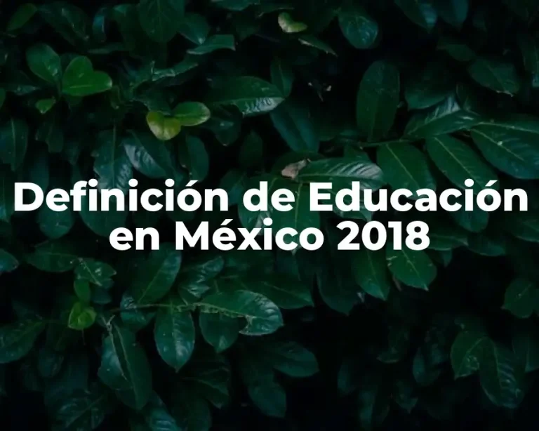 Definición de Educación en México 2018