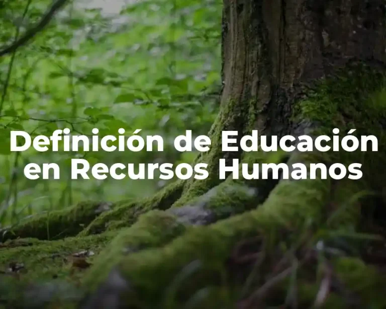 Definición de Educación en Recursos Humanos
