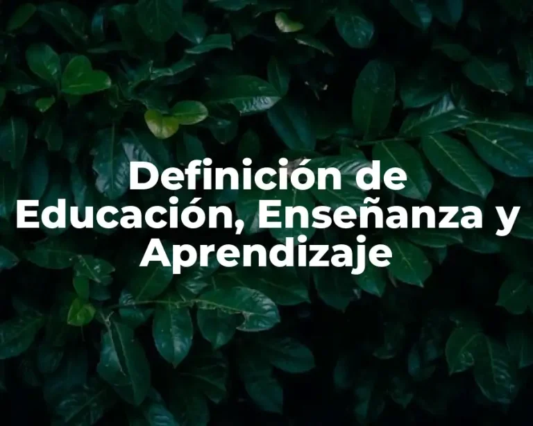 Definición de Educación, Enseñanza y Aprendizaje