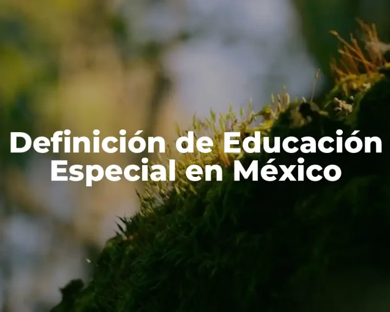 Definición de Educación Especial en México