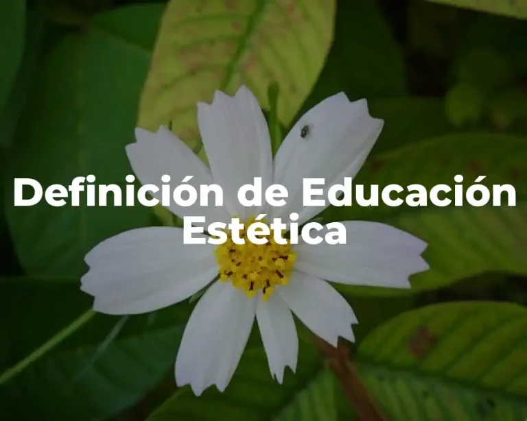 Definición de Educación Estética