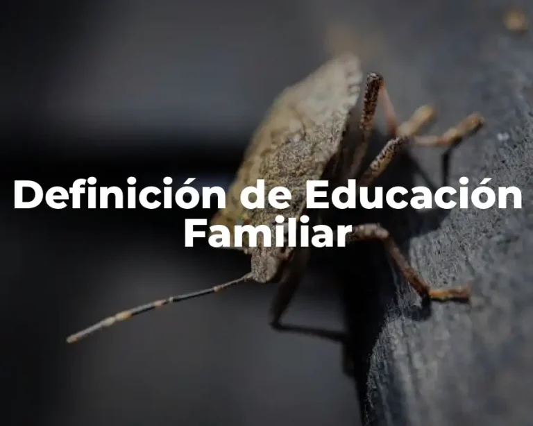 Definición de Educación Familiar