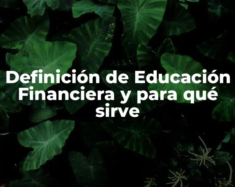 Definición de Educación Financiera y para qué sirve