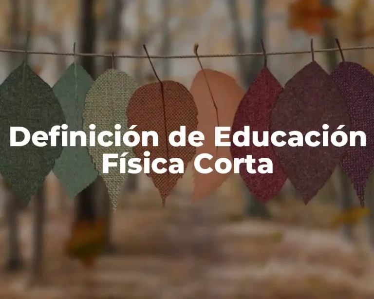 Definición de Educación Física Corta