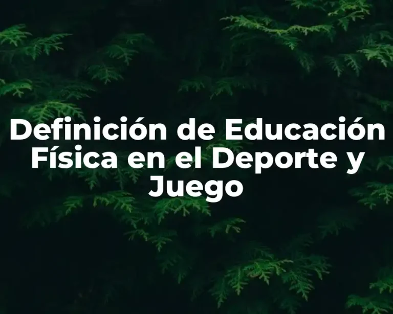 Definición de Educación Física en el Deporte y Juego