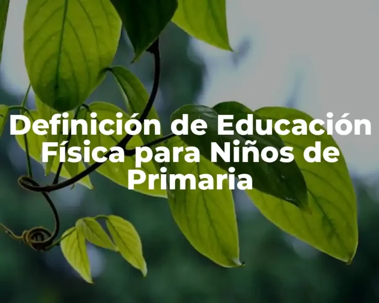 Definición de Educación Física para Niños de Primaria