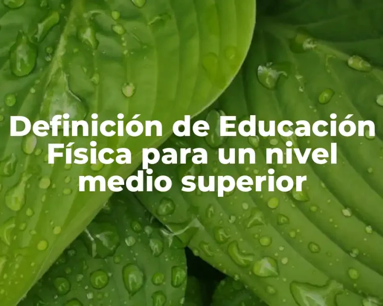 Definición de Educación Física para un nivel medio superior