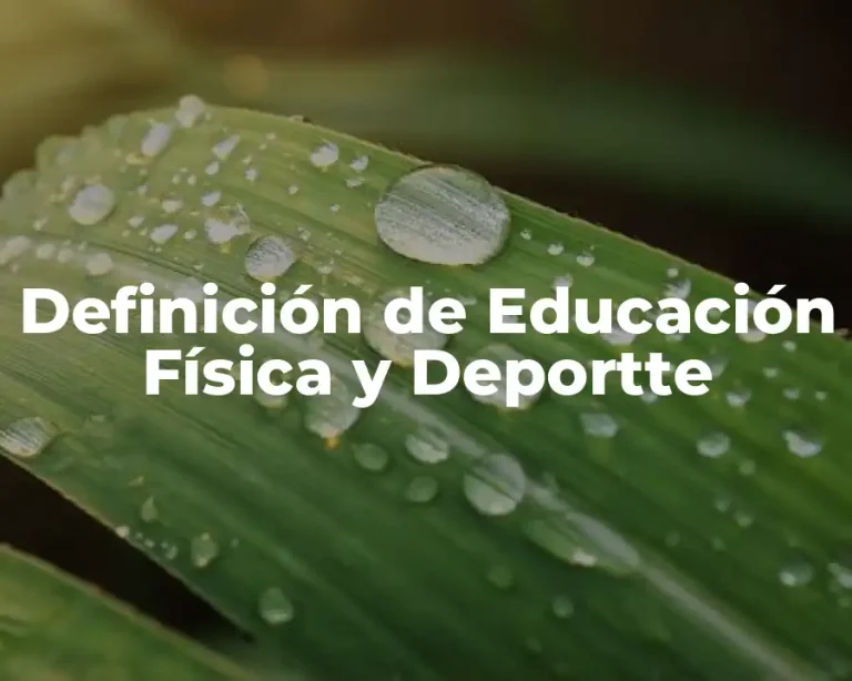 Definición de Educación Física y Deportte
