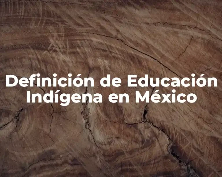 Definición de Educación Indígena en México