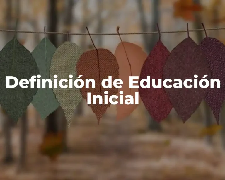 Definición de Educación Inicial