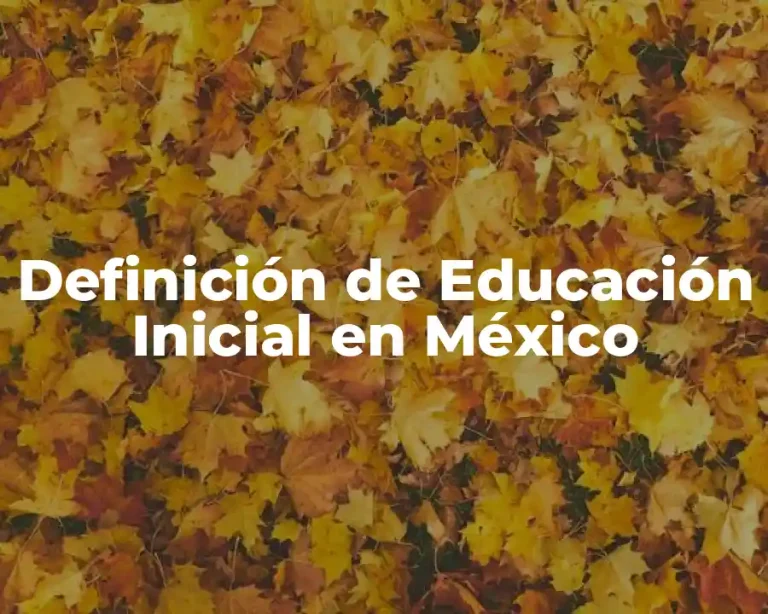 Definición de Educación Inicial en México