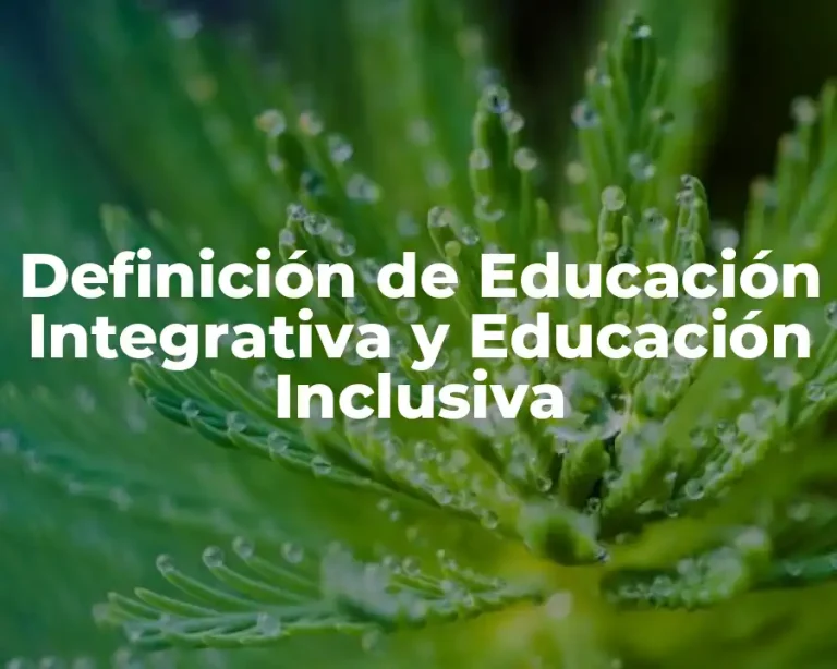 Definición de Educación Integrativa y Educación Inclusiva