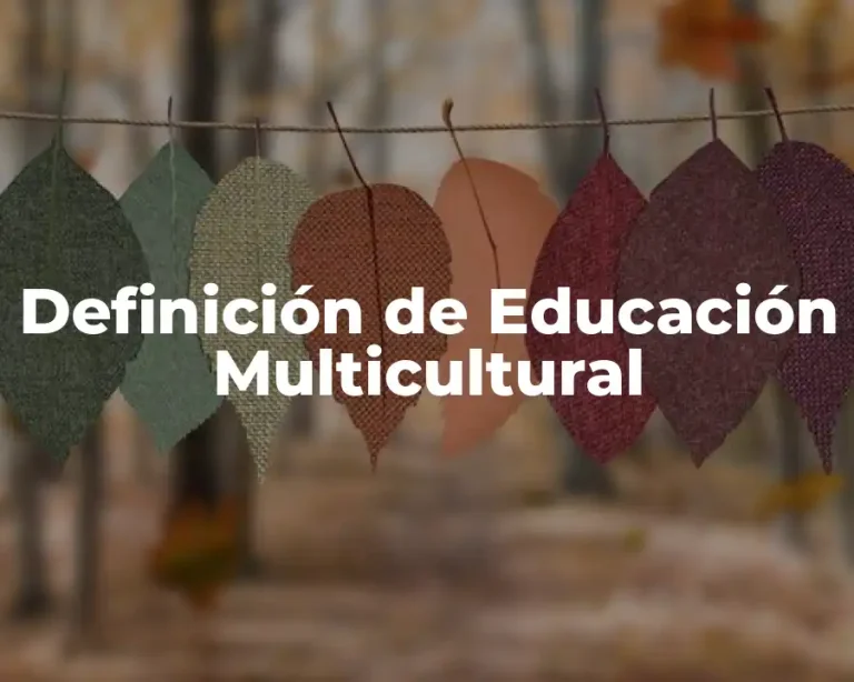 Definición de Educación Multicultural