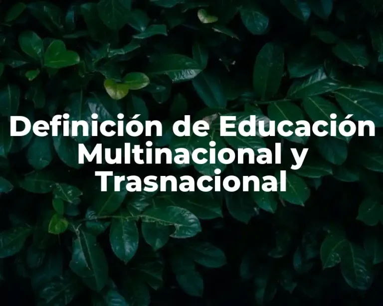 Definición de Educación Multinacional y Trasnacional