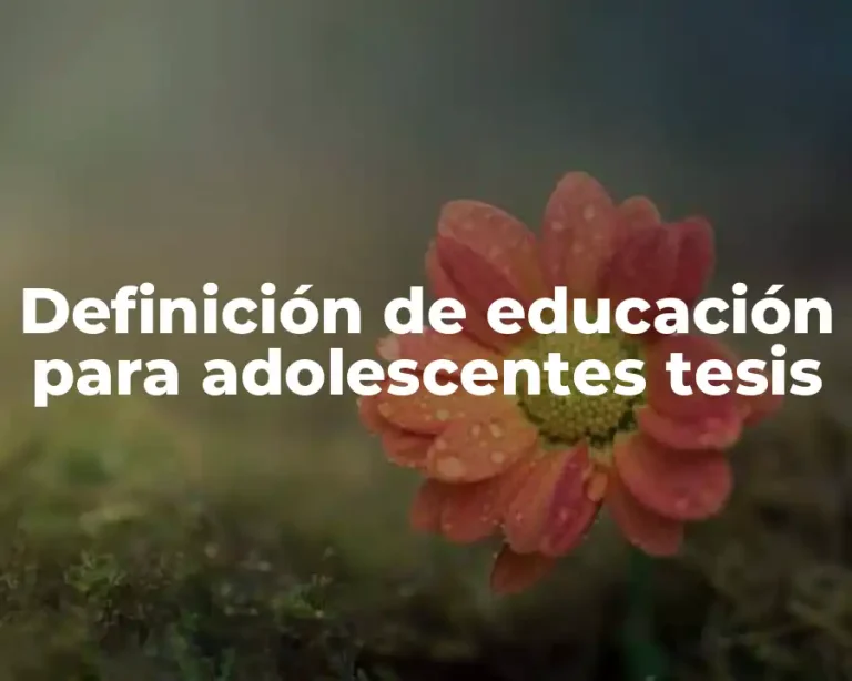 Definición de educación para adolescentes tesis