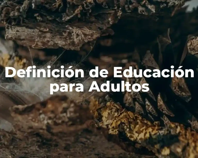 Definición de Educación para Adultos