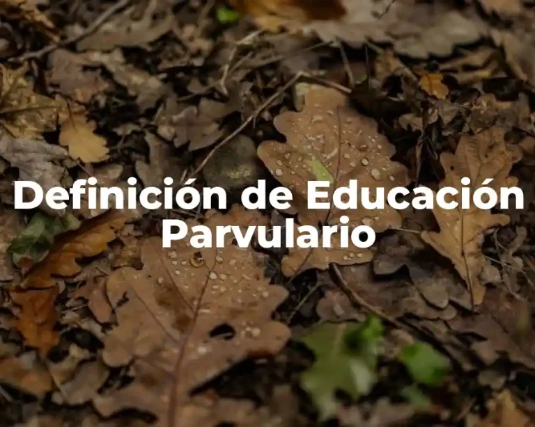 Definición de Educación Parvulario
