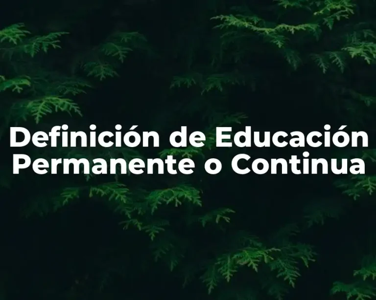 Definición de Educación Permanente o Continua