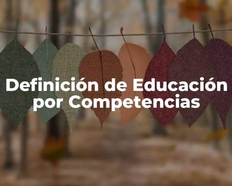 Definición de Educación por Competencias