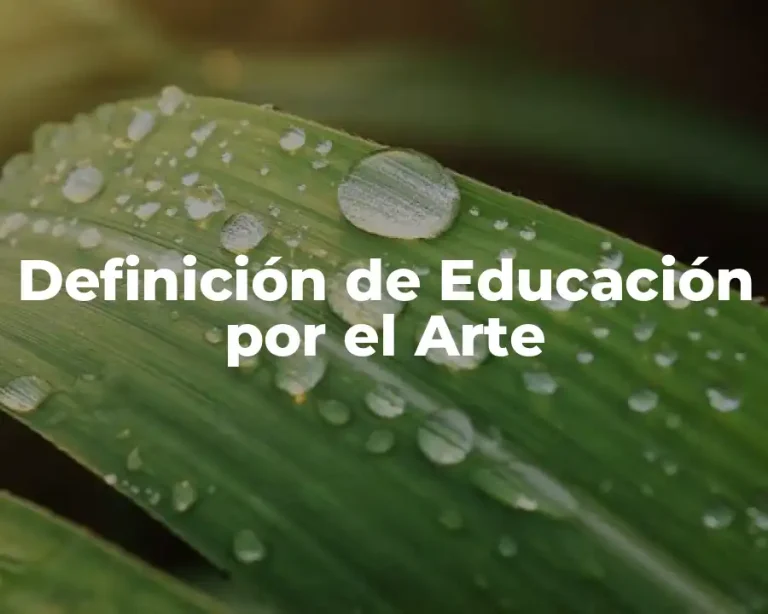 Definición de Educación por el Arte