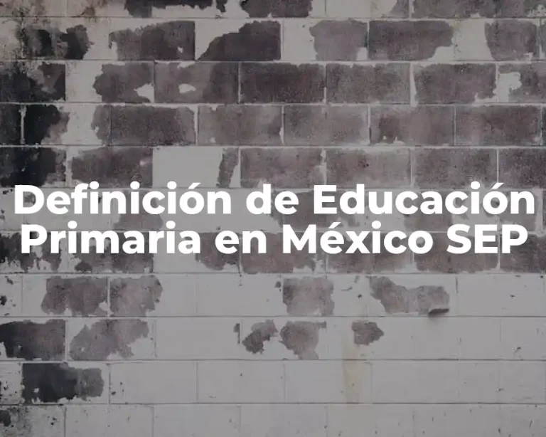 Definición de Educación Primaria en México SEP