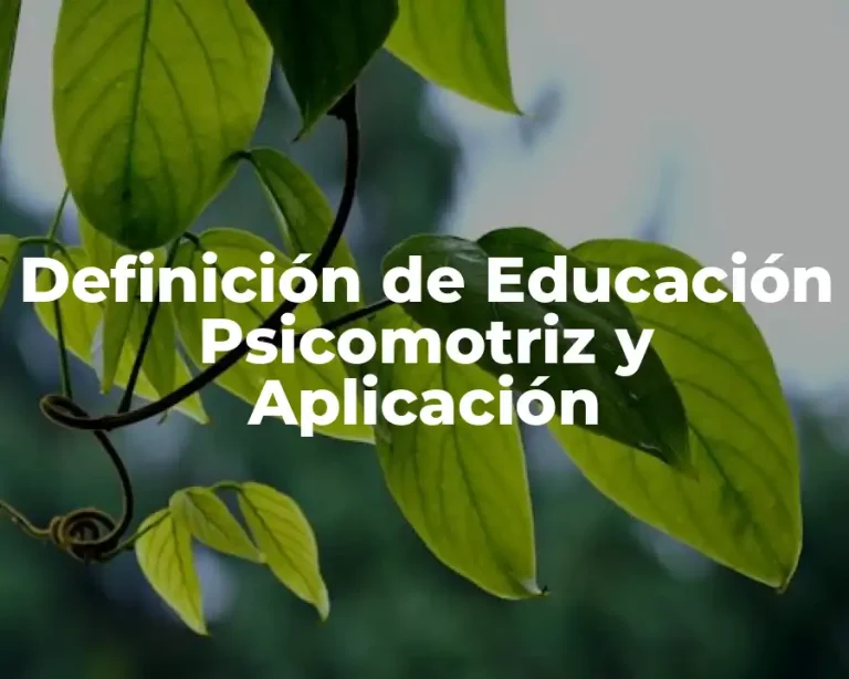 Definición de Educación Psicomotriz y Aplicación