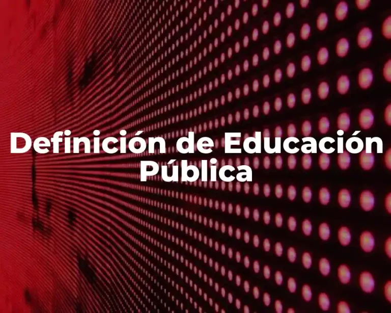 Definición de Educación Pública