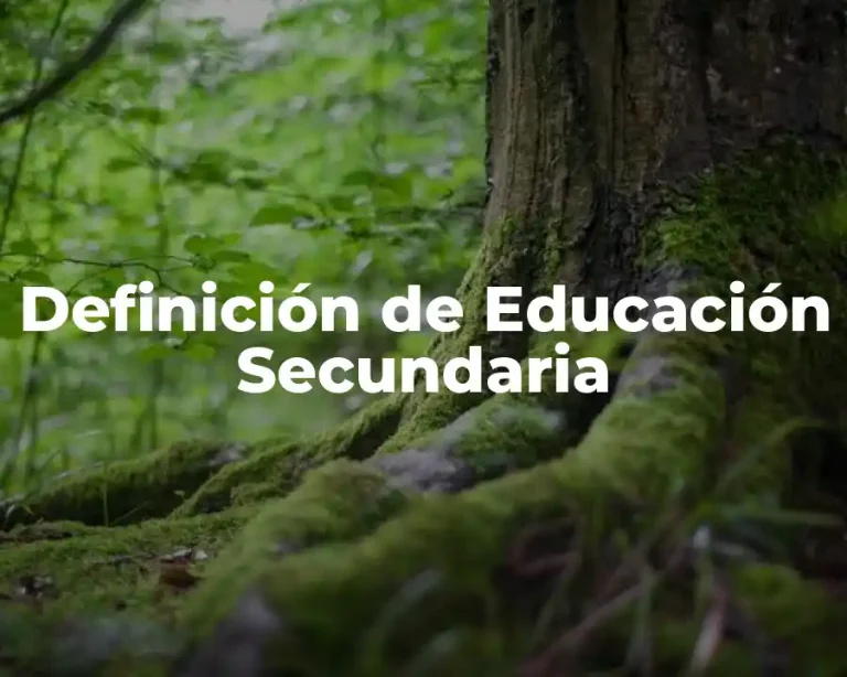 Definición de Educación Secundaria